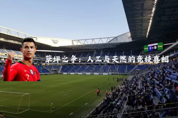 草坪之争:人工与天然的竞技真相