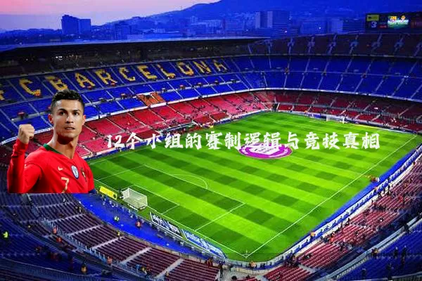12个小组的赛制逻辑与竞技真相